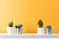 Collection of various cactus plants in different pots. Potted cactus house plants on white shelf against mustard colored wall. Royalty Free Stock Photo