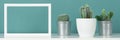 Collection of various cactus plants in different pots. Potted house plants on white shelf against turquoise colored wall. Royalty Free Stock Photo