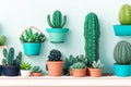 Collection of various cactus and succulent plants in different pots Royalty Free Stock Photo