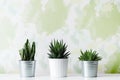 Collection of various cactus and succulent plants in different pots. Potted cactus house plants on white shelf against design wall Royalty Free Stock Photo