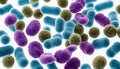 A collection of various colored bacteria Royalty Free Stock Photo