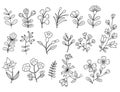 Collection various flowers and branches. Vector illustration. Isolated linear hand drawn doodle plants. Royalty Free Stock Photo