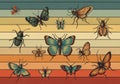 Utterflies, moths, and beetles, spread across a striped, horizontal Royalty Free Stock Photo