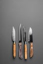 Collection of various kitchen knives on a grey background Royalty Free Stock Photo