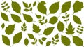 Collection of various leaf silhouettes Royalty Free Stock Photo