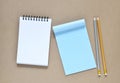 Collection of various note paper and pencils Royalty Free Stock Photo