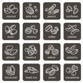 Nuts icons set