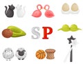 Collection of various pairs of salt shakers and pepper shakers. Vector illustration.