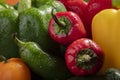 Collection of various peppers Royalty Free Stock Photo