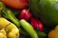 Collection of various peppers Royalty Free Stock Photo