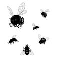 Collection of various positioned doodle bees