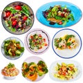 Collection of various salads with vegetables Royalty Free Stock Photo