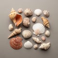 Some shells have intricate patterns and textures displaying natural designs Royalty Free Stock Photo