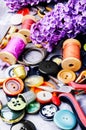 Tools for needlework and lilac branch Royalty Free Stock Photo