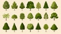 Collection of various tree illustrations Royalty Free Stock Photo