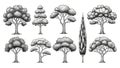 Collection of various tree illustrations Royalty Free Stock Photo