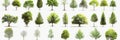 Collection of various tree illustrations showcasing different species and shapes in a botanical study Royalty Free Stock Photo