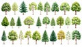 Collection of various tree illustrations symbolizing biodiversity, environmental awareness, and seasonal changes across Royalty Free Stock Photo