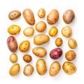 Collection of various types of organic raw potatoes on white background Generative AI Illustration