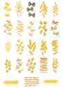 Collection of Various Types of Pasta on White Royalty Free Stock Photo