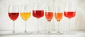 Collection of a various of wine in a glass, rose, red, white and champagne on a white wooden rustic table, banner. Set of wines in Royalty Free Stock Photo