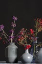 A collection of vases with a variety of berries.