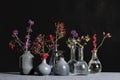 A collection of vases with a variety of berries.