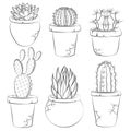 Collection of vector cactuses in flower pot. EPS10