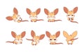 Collection of Vector Cartoon Baby Kangaroo Art. Set of Kawaii Isolated Baby Marsupial Animal Illustrations for Prints