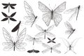 Collection of vector dragonflies and butterflies for design