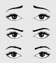 Collection of vector eyes. Hand drawn female luxury eye with perfectly shaped eyebrows and full eyelashes. The perfect Royalty Free Stock Photo