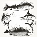 Collection of vector fishes