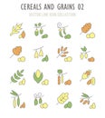 Set of Retro Icons of Cereals and Grains