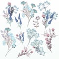 Collection of vector floral watercolors in soft colors