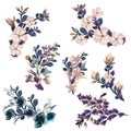 Collection of vector florals, spring styled flowers for design