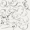 Collection of vector flourishes Royalty Free Stock Photo