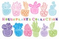 Collection of hand drawn houseplants