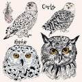 Collection of vector hand drawn owls in detiled style. Hipster