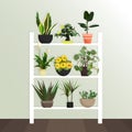 Collection of vector houseplants. Flat style. Flowers stand on the shelves. Interior Design. green plant in pot