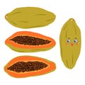 Collection of vector illustrations of whole and half papaya in flat style.