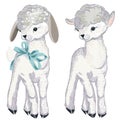 Collection of vector lamb for design in watercolor style