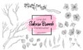 Collection of vector line art hand drawn illustration of blossom sakura branch, leaves, flower and bud. Romantic spring asian cher