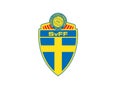 National Swedish Football Logo