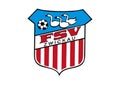 FSV Zwickau Logo