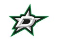 Dallas Stars Logo