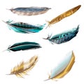 Collection of vector realistic feathers for design Royalty Free Stock Photo