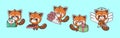 Collection of Vector Red Panda Art. Set of Isolated Animal Clipart Illustration. Royalty Free Stock Photo
