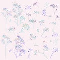 Collection of vector rustic elegant florals, plants, flowers in vintage watercolor style