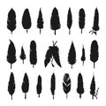 Collection of vector silhouette feathers