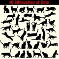 Vector silhouettes of cats on white background Royalty Free Stock Photo